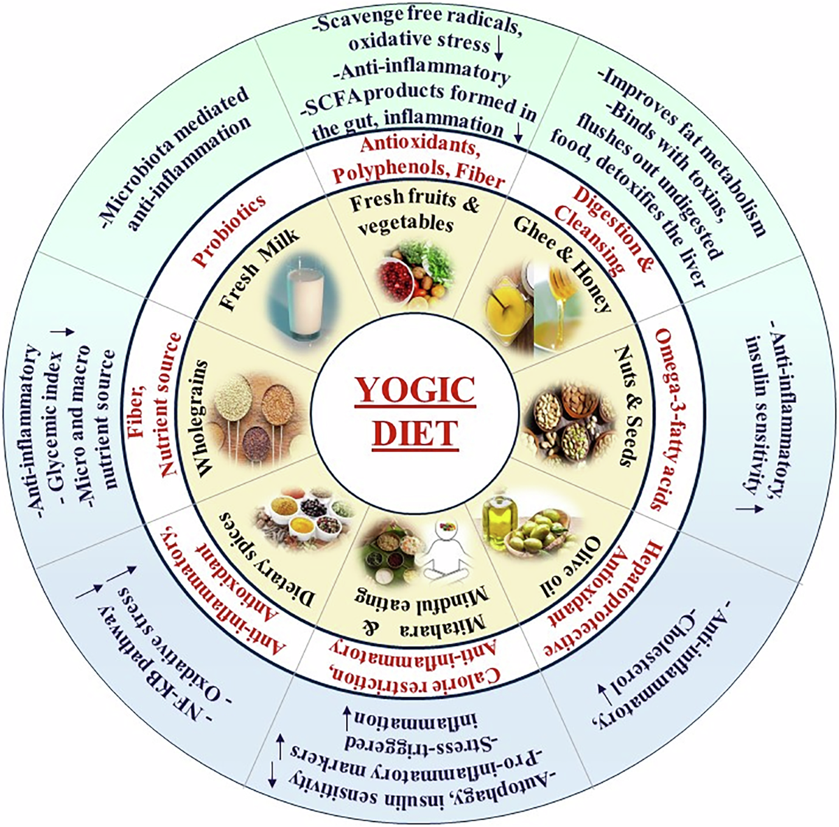 Hormonal Balance Hub